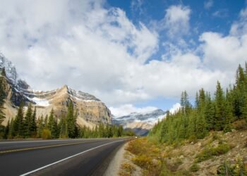 Exploring the Global’s Maximum Scenic Routes and Shuttle Roads