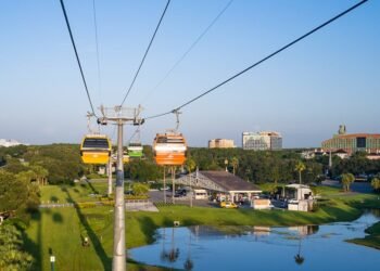 Time-Saving Disney Global Transportation Pointers