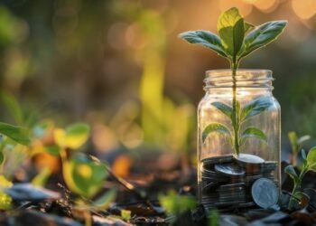 Trip startup investment in Q3 ruled by means of previous rounds