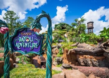 Absolute best Price Splurges at Disney International