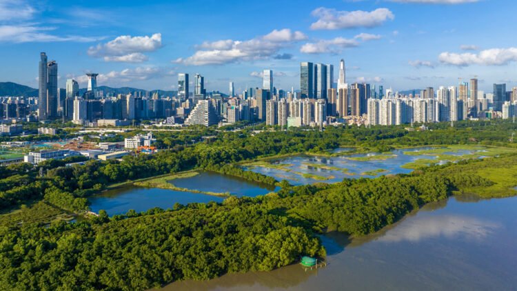 China unveils its World Mangrove Centre