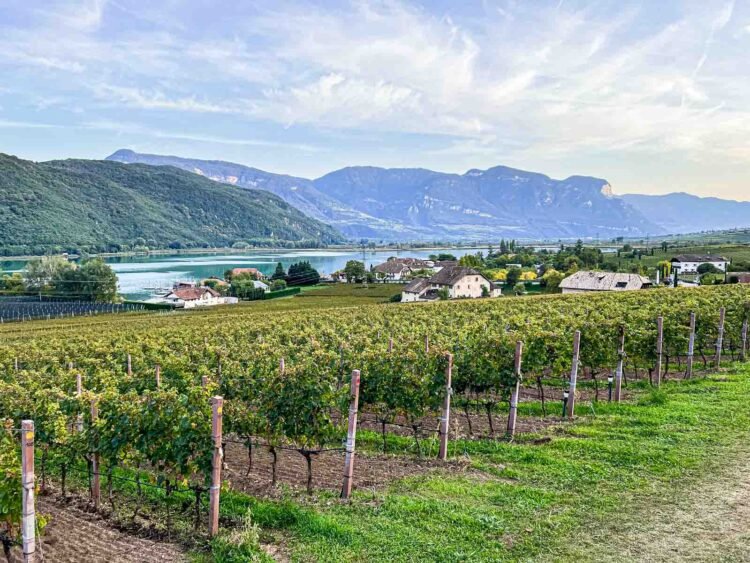 Italy’s Hidden Gem Is a Wine Lover’s Paradise