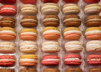 The Best possible Meals in Paris