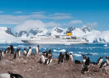Tourism in Antarctica Poses Threat to the Setting