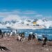 Tourism in Antarctica Poses Threat to the Setting