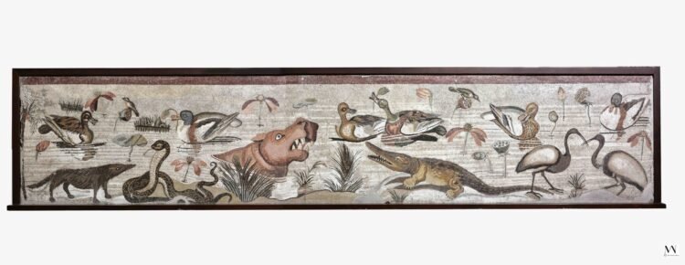 RCU companions with Nationwide Archaeological Museum of Naples