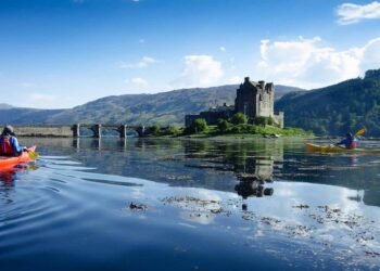 Lively Trip Workforce experiences bumper first-half buying and selling, up 26% year-on- yr