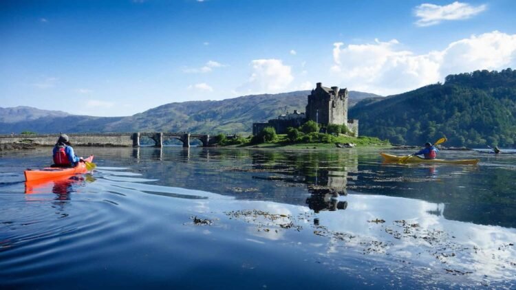 Lively Trip Workforce experiences bumper first-half buying and selling, up 26% year-on- yr