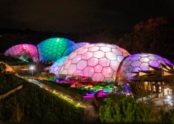 Shocking gentle shows and brand-new studies carry the magic of Christmas to the Eden Mission