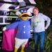 Best 10 Guidelines for Doing Disney Global Solo