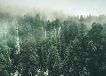 Tourlane lands €25M funding for additional enlargement and tech construction