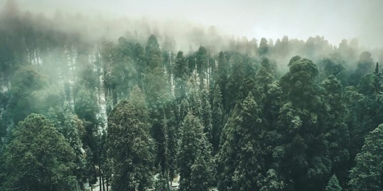 Tourlane lands €25M funding for additional enlargement and tech construction