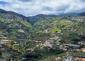 Consuming in Paradise: Will have to-Check out Meals in Madeira