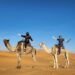 Uncover the Great thing about Morocco: A Adventure Thru Time and Tradition
