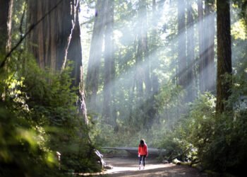 The Little E book of Implausible Trips is again for peaks 2025 