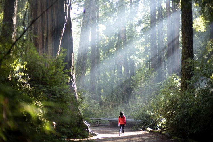 The Little E book of Implausible Trips is again for peaks 2025 