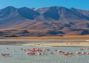 Chilean Tourism Welcomed Extra Guests