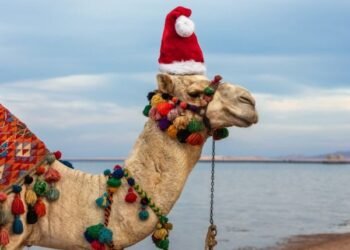 Egyptian Tourism Reported Greater Revenues