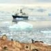 Antarctic Tourism Expanding Along with Its Eco Have an effect on