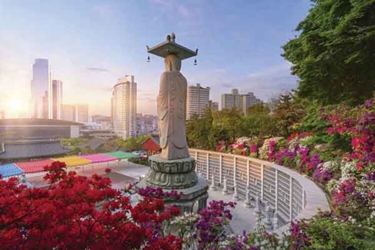 South Korea extends Ok-ETA exemption for Singaporeans until 2025