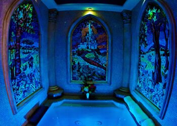 Purchasing a Night time in Cinderella Fortress Suite?