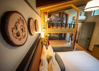 Evaluate: Disney International’s New Debatable Cabins That Enthusiasts Like to Hate Are If truth be told Nice.