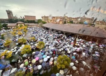 Why Disney’s #1 Park is Getting 1-Famous person Critiques