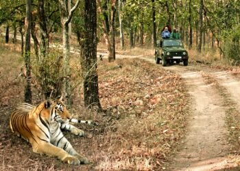 MP amongst WSJ’s “Cross-To World Locations for 2025”