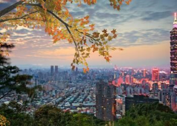 Go back and forth studies platform KKday plots growth following $70M injection