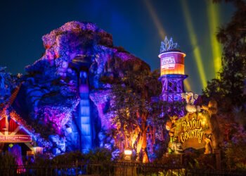 2025 Southern Californian Disneyland Price tag Deal