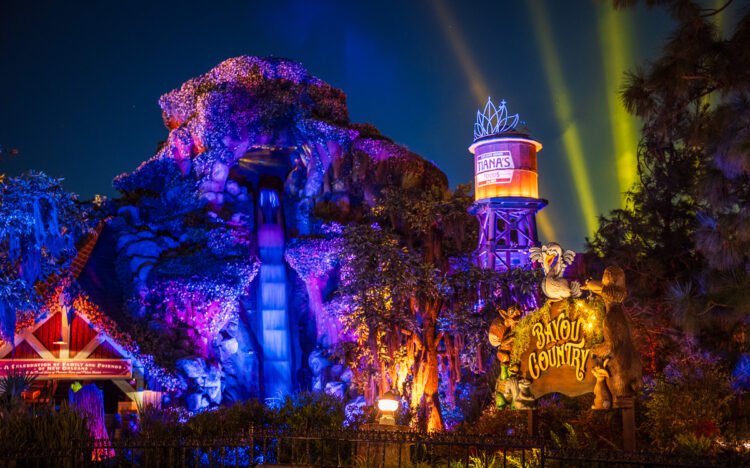 2025 Southern Californian Disneyland Price tag Deal