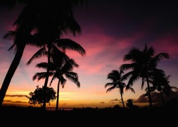 Pointers for Island Hopping in Hawaii