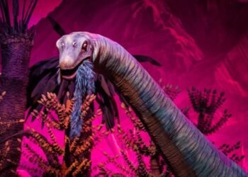 Easiest Appeal Replacements at Disney International