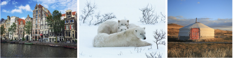 9 must-have Luxurious shuttle stories for 2025: Virtuoso