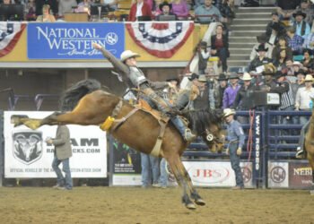 Iciness in ‘The Mile Prime Town’, Denver, Colorado