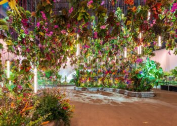 The Absolute best Issues to Do in Philly in March 2025