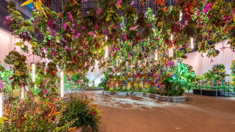 The Absolute best Issues to Do in Philly in March 2025