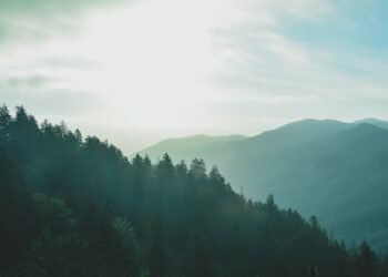 Making plans a Circle of relatives Holiday to the Smokies? 8 Guidelines for First-Timers