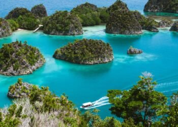 The 5 Very best Issues To Do In Indonesia for Nature Fanatics