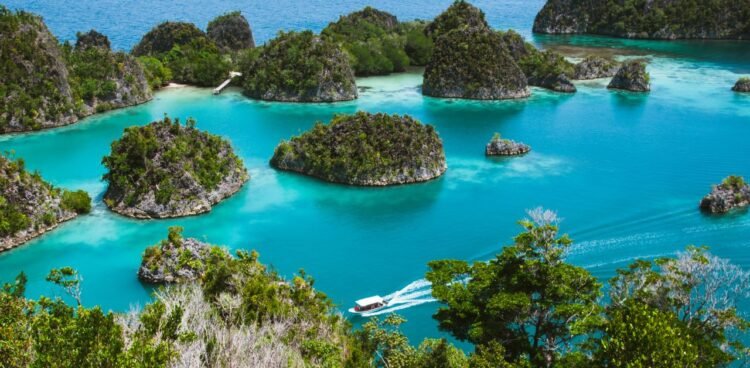 The 5 Very best Issues To Do In Indonesia for Nature Fanatics