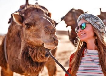 Maximum Visited African Locations Take pleasure in Tourism