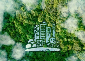 Scorching 25 Go back and forth Startups for 2025: Eco.mio