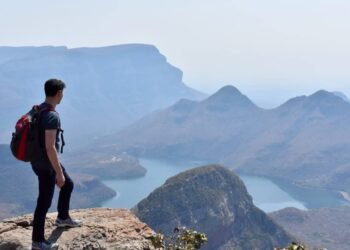 I am Freeing a New E-book!