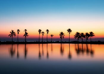 The place is the most productive position to look the first light in Miami?