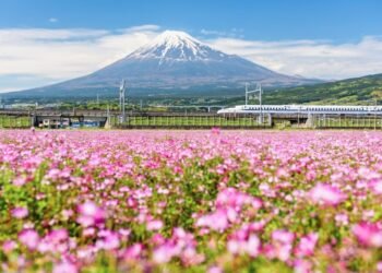 Pointers for Touring in Japan With Children