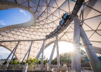 Disney Global’s Iciness Wait Instances Curler Coaster Does not Inform the Complete Tale on Crowds