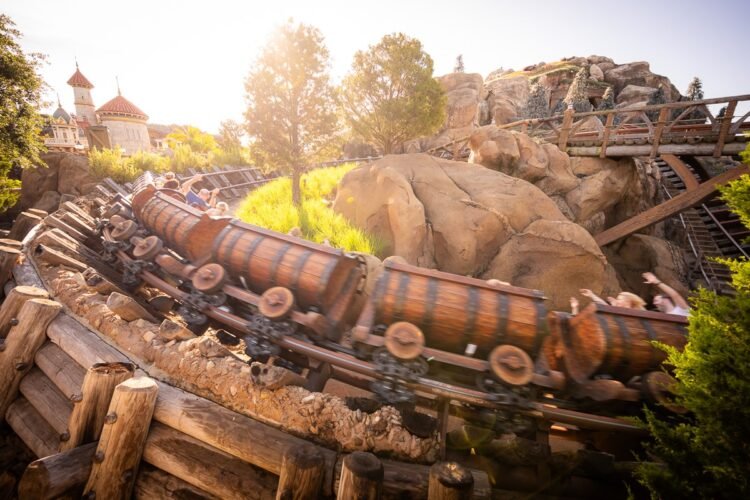 Magic Kingdom Morning Pointers & Tips in 2025: Rides to Do & Steer clear of at Rope Drop & Early Access