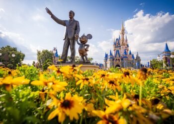 Is Walt Disney International Too Dear for Heart Magnificence American citizens?
