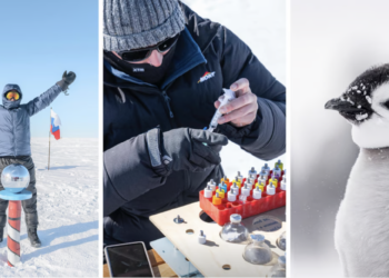 Antartica with ‘White Wilderness’