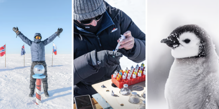 Antartica with ‘White Wilderness’